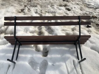 Скамейка СП со спинкой 2,0